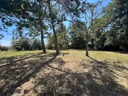 terrain