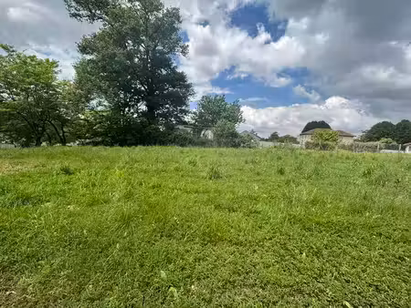 terrain