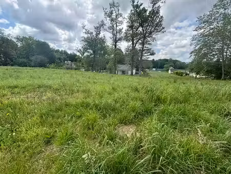 terrain
