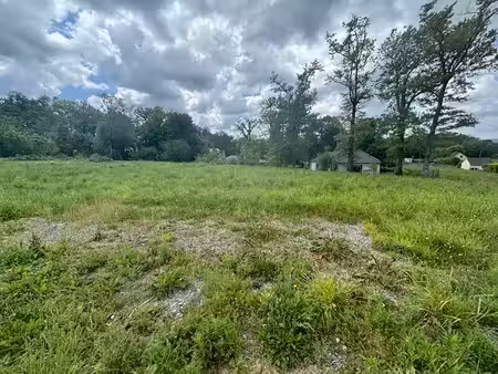 terrain