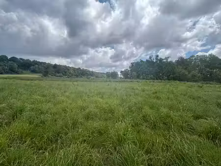 terrain