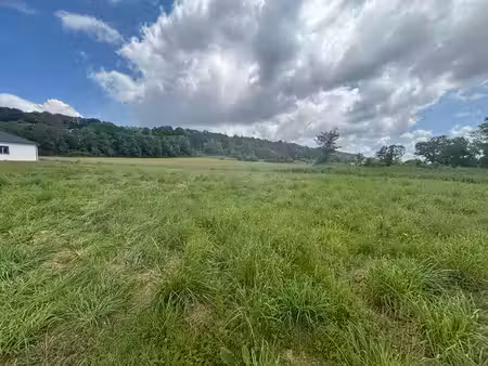 terrain