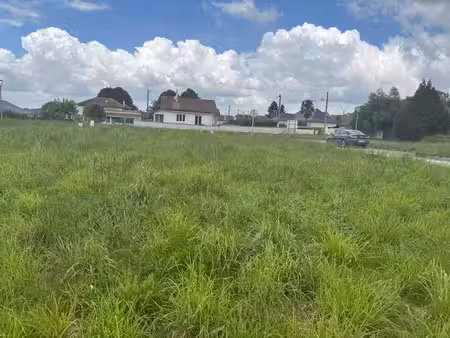 terrain