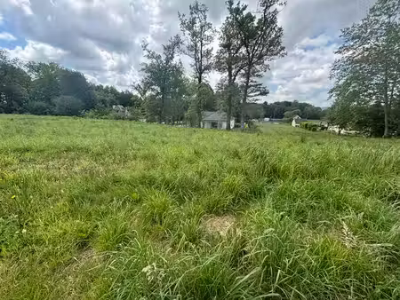 terrain
