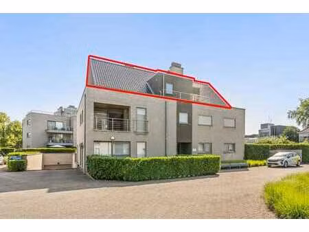 vente - appartement heusden-zolder - 319 000 €