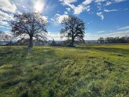 vente terrain à vertou (44120) : à vendre / 300m² vertou