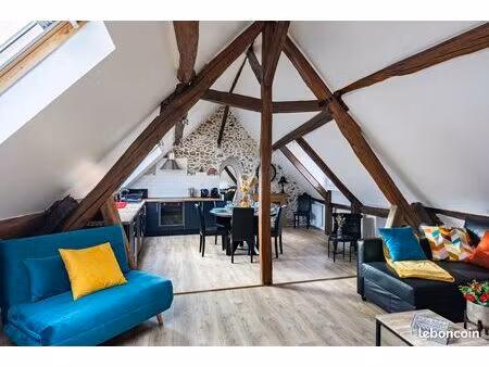 grand appartement meublé 2 pièces cuisine équipée grand séjour grande chambre