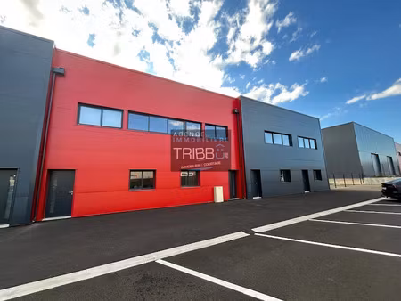 location locaux professionnels 0 pièces 125.41 m² à toulouges (66350)  1 270 €