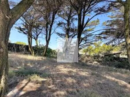 vente terrain à l'épine (85740) : à vendre / l'épine