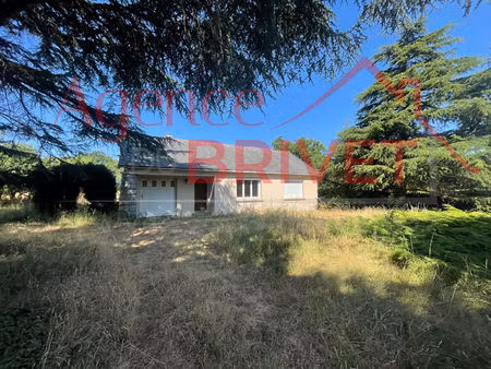 maison avec grand jardin
