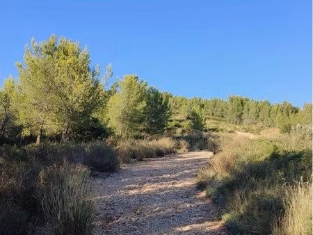 location terrain