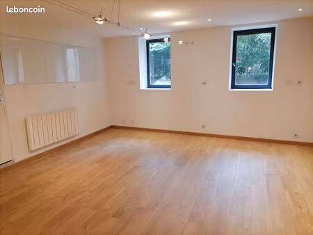 beau local professionnel spacieux sur le plateau de la croix-rousse