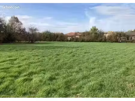 terrain viabilisé et libre de constructeur