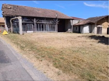 terrain 8000 m2