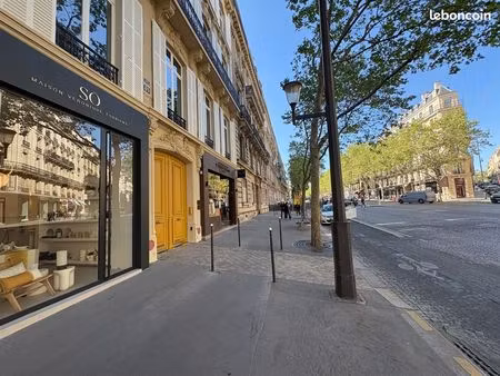 boutique 95 m² paris