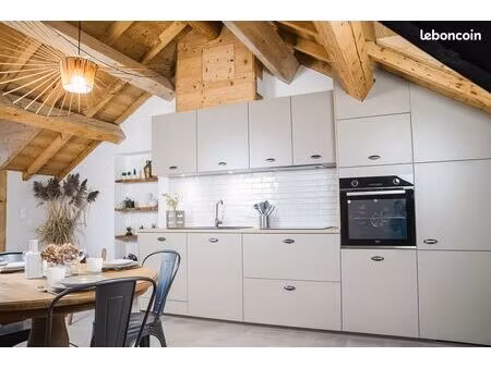 t3 duplex meublé avec rooftop dans maison historique