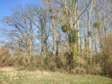 vente terrain à jublains (53160) : à vendre / 5805m² jublains