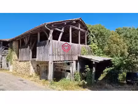 maison de village avec grange et terrain
