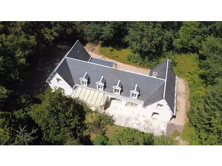 vente maison 9 pièces 410 m² montrichard val de cher (41400)