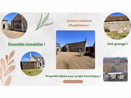 vente maison 10 pièces 166 m² urciers (36160)