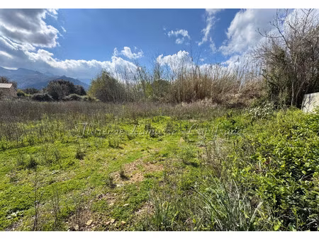 terrain à vendre speloncato 991m2 168 000€