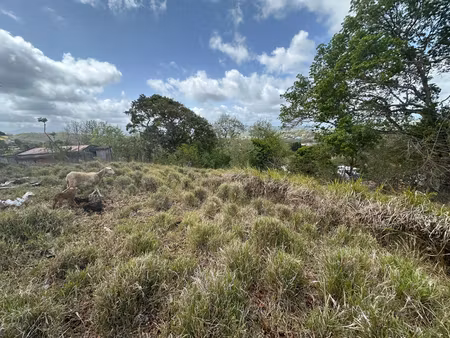 terrain riviere salee