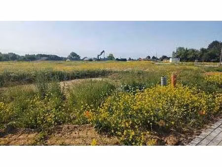 lot 35