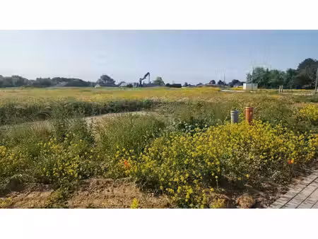 lot 35