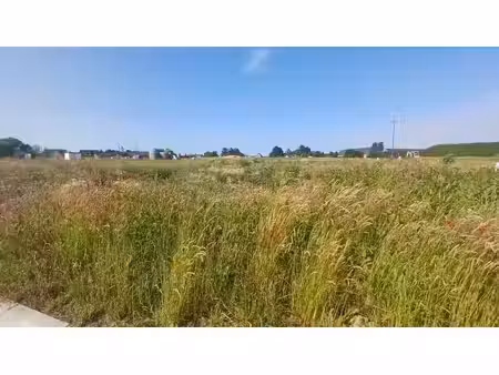 lot 61