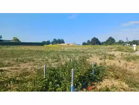 lot 96