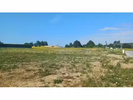 lot 97
