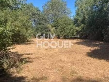 vente terrain à larré (56230) : à vendre / 816m² larré