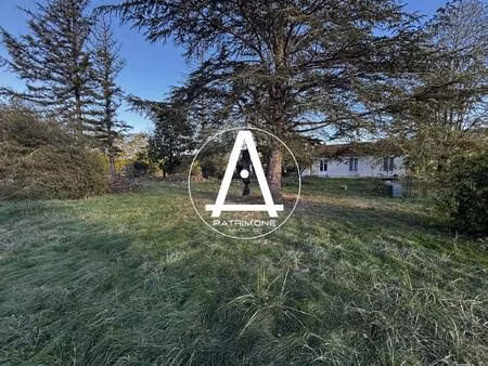 patrim'one immobilier