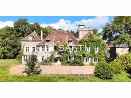 chateau en bourgogne