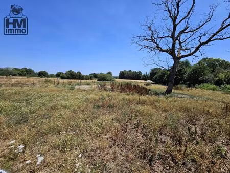 terrain