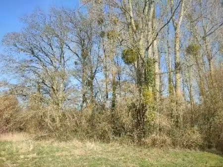 terrain