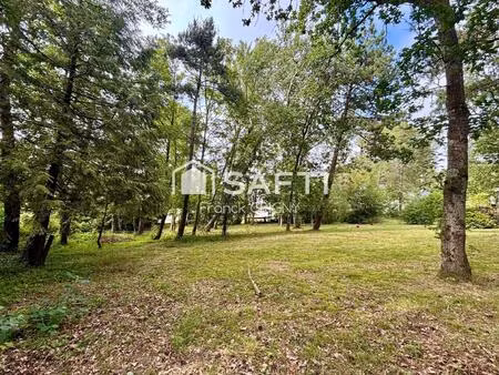 terrain individuel constructible en zone boisée