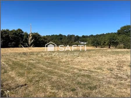 magnifique terrain constructible de 1450 m2 - tabanac ( 33550)