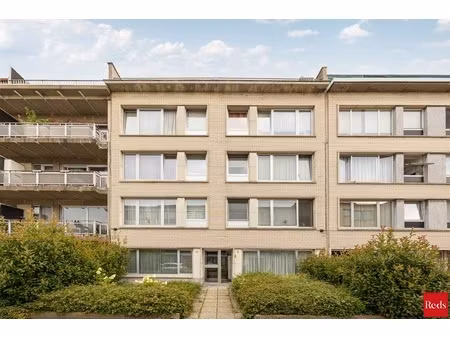 appartement te huur in antwerpen met 1 slaapkamer