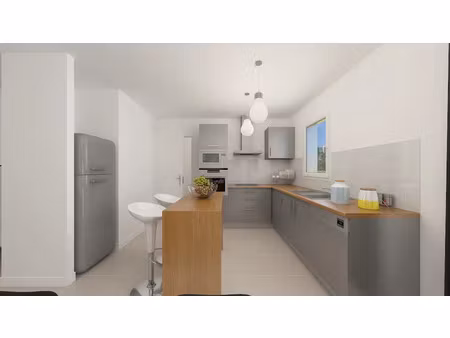vente maison neuve 4 pièces 81 m² à palluau (85670)  172 067 €