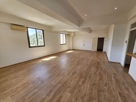 achat local commercial 221m² st andre de la roche 06730