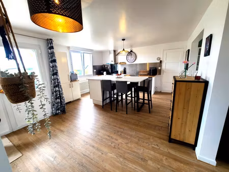 a vendre maison 165 m² 29880 plouguerneau