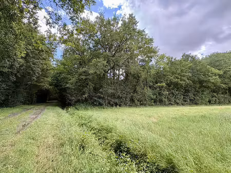 vente terrain  le plessis