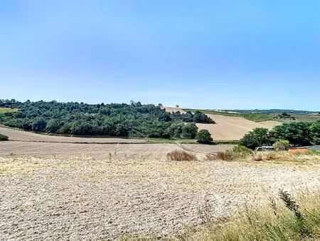 terrain agricole