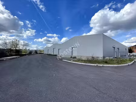 location entrepôt valmont 57730 250m²