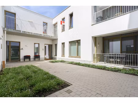 appartement te koop in haasdonk met 2 slaapkamers
