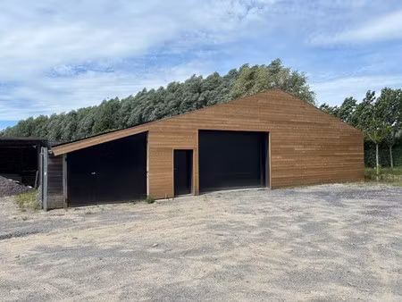 commercieel te koop in otegem