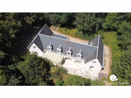 vente maison 9 pièces 410 m² à montrichard (41400)  400 000 €