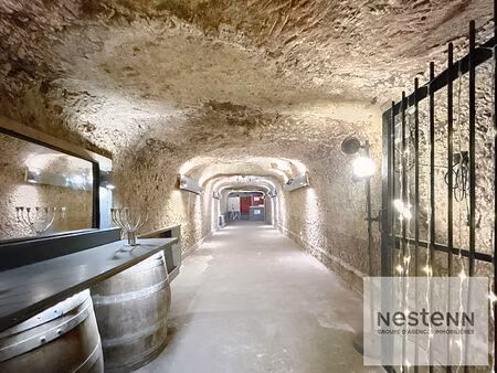 a vendre a saint-avertin en plein centre bourg : local commercial avec potentiel