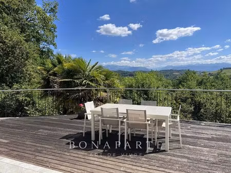 domaine vue panoramique pyrénées - coteaux sud
